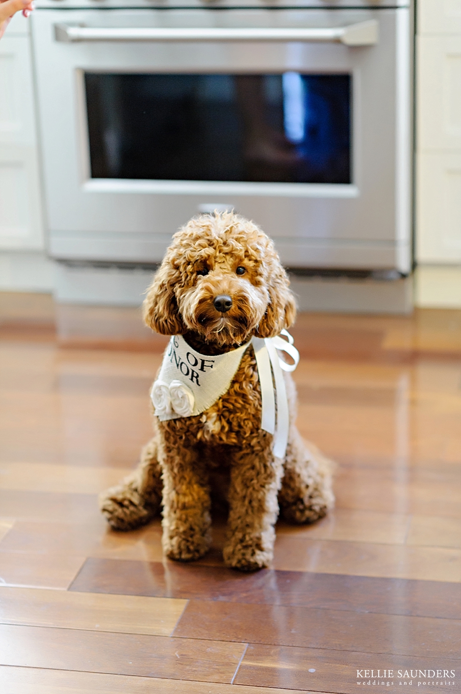 Wedding Dog of Honor